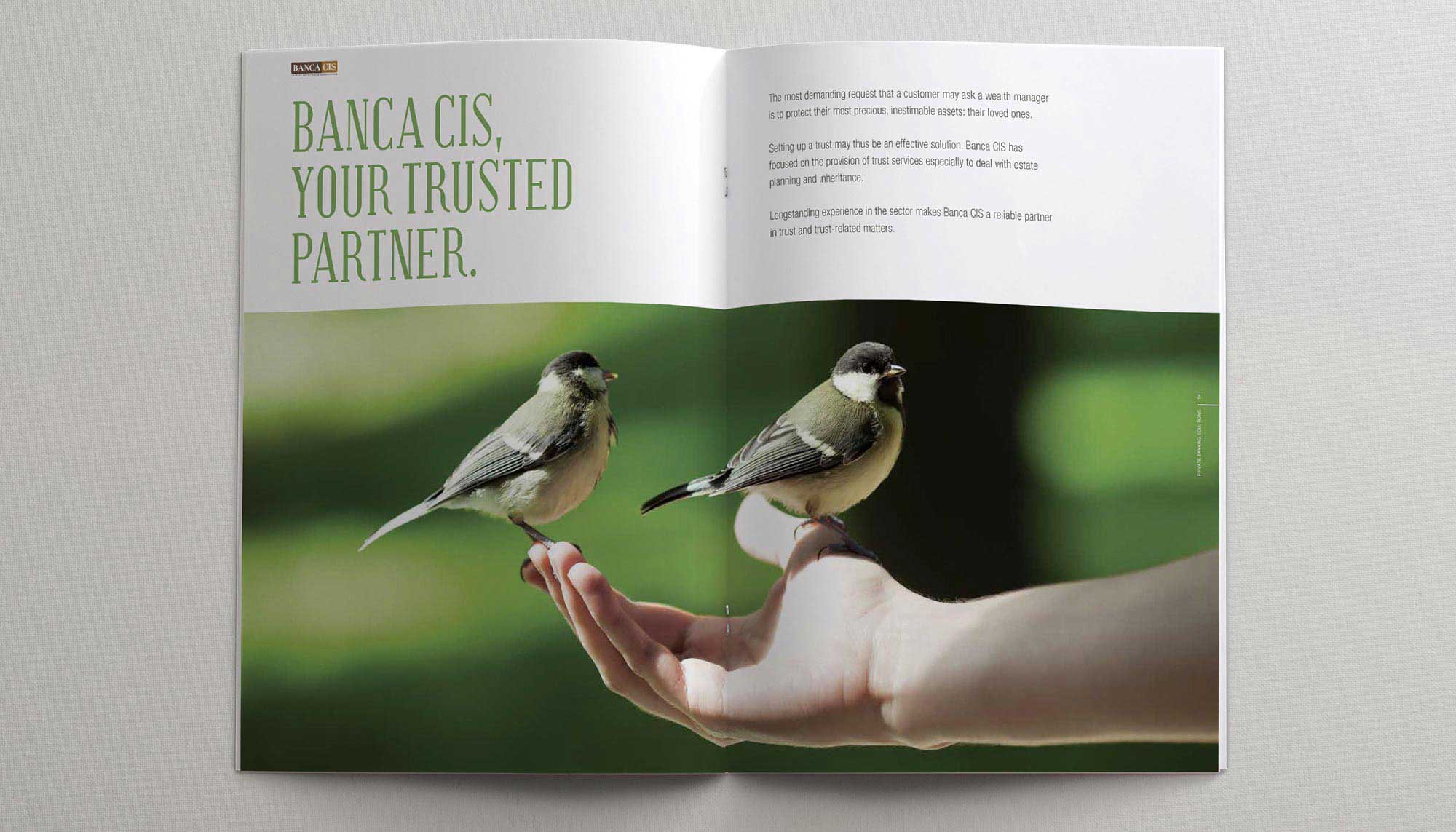 banca cis