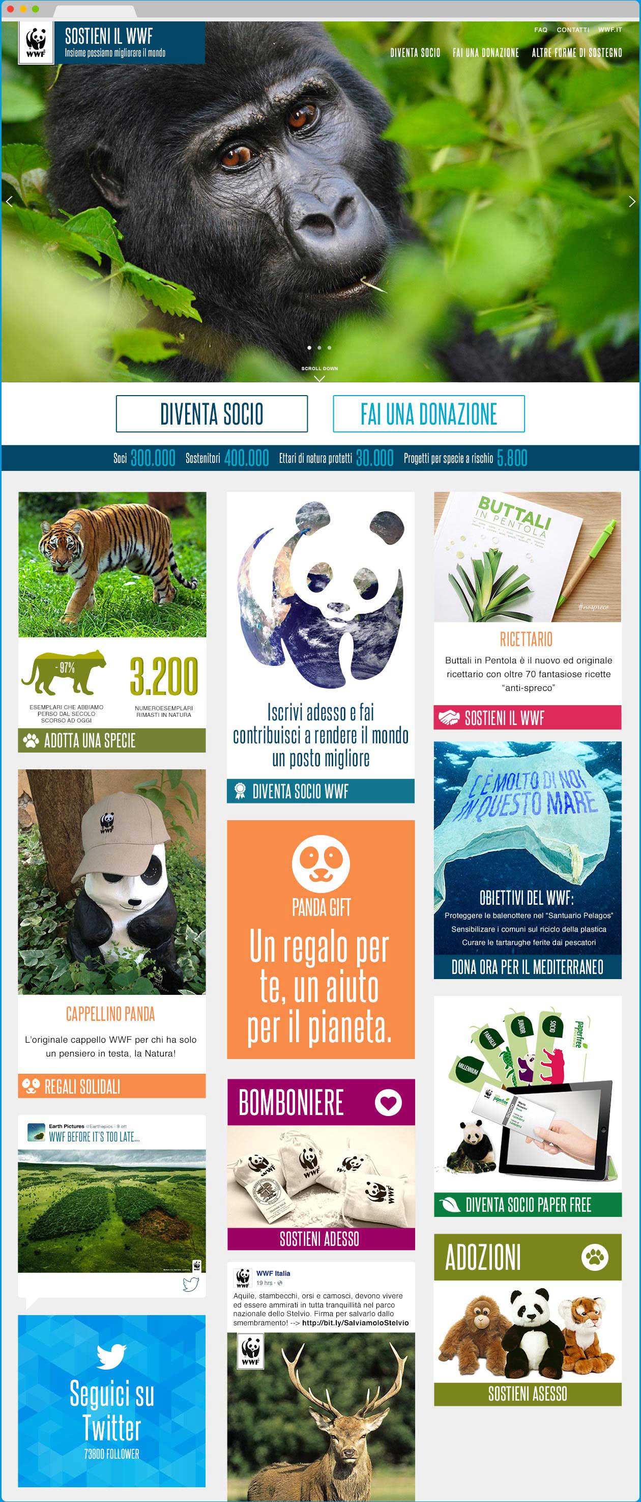 wwf