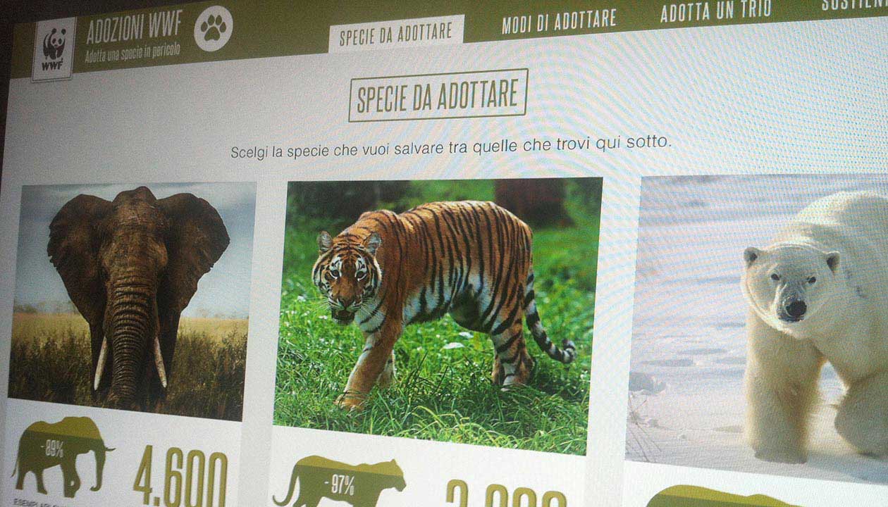 wwf