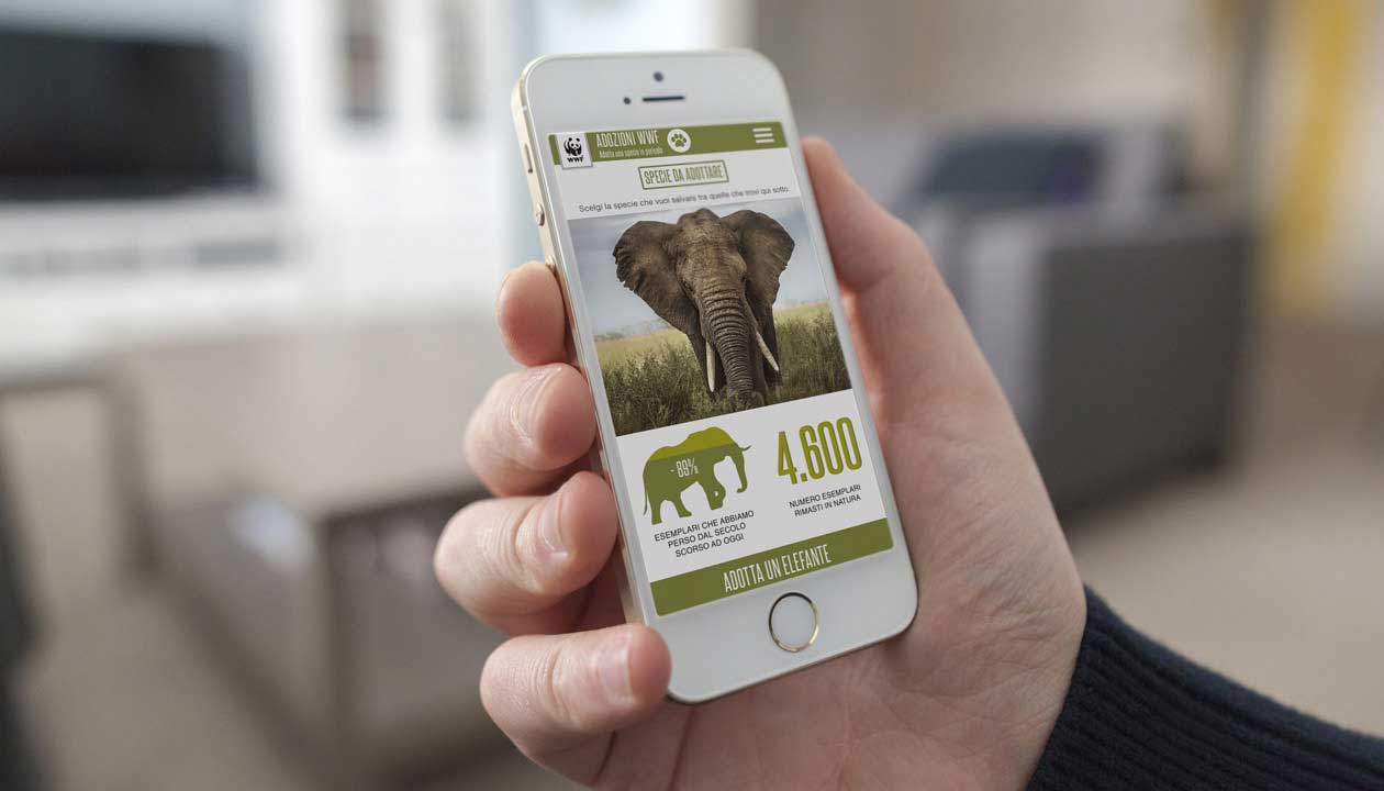 wwf